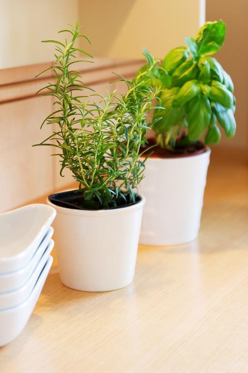 Apartament Sophie Sopot Luaran gambar